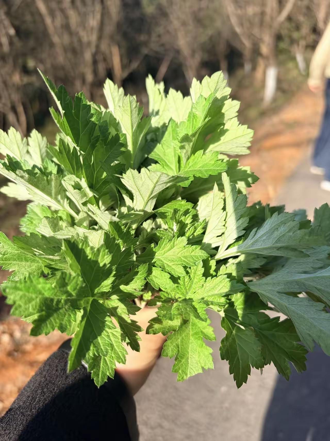 这些都是废话！朱迅年纪50岁左右啦哈哈！青春靓丽闪闪发光的时光已经过了，那可能再