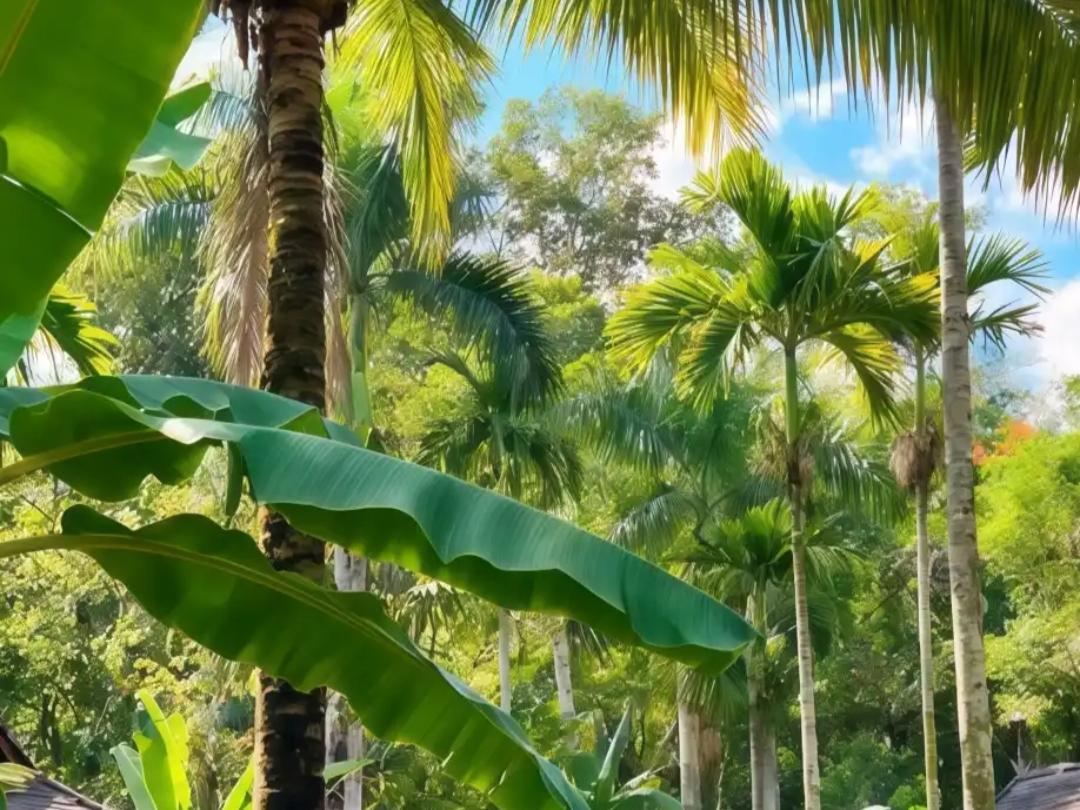 人不能贪便宜，但是你知道贪便宜不止一个意思吗？第1，不能贪小便宜。以前认识一个女