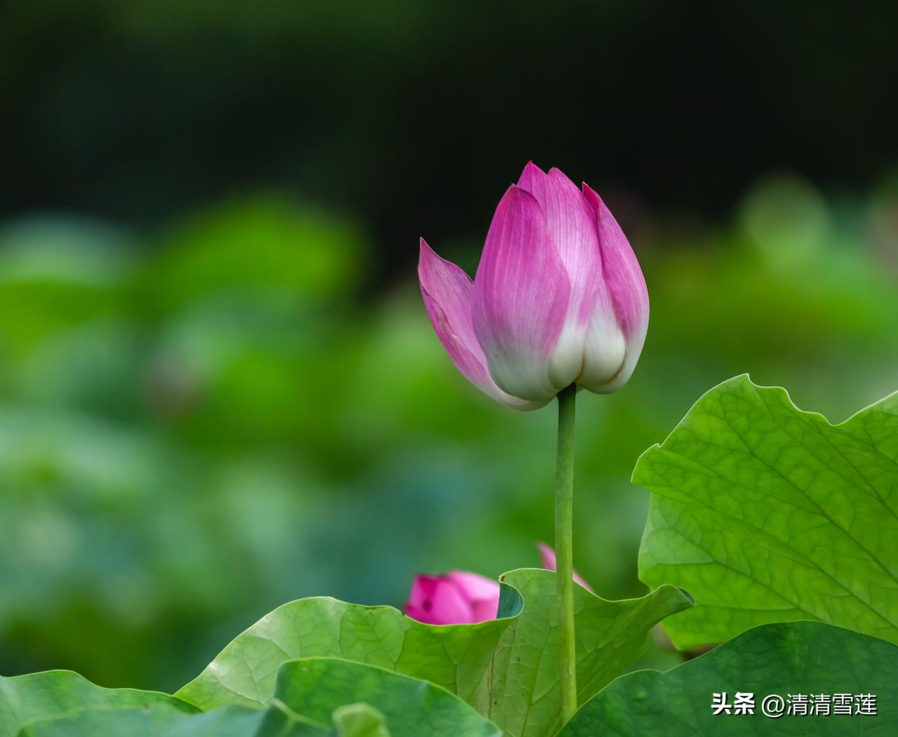 我更愿意上班！

创业风险太大，本人能力有限，还是上班好。还是喜欢在大学当教师，