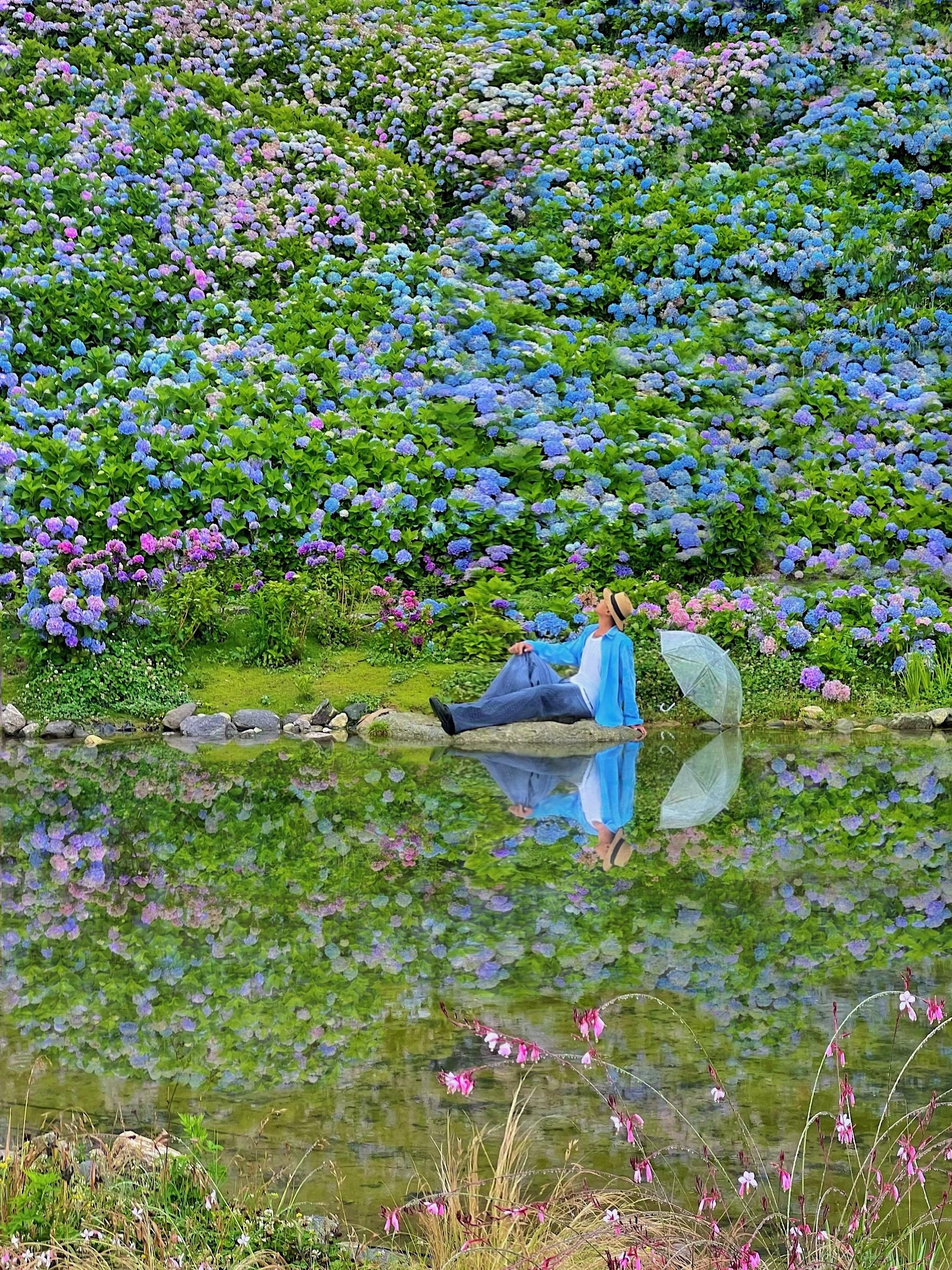 为了油画般水上莫奈花园🎨我特意来了大理。心心念念的莫奈花园 终于来打...