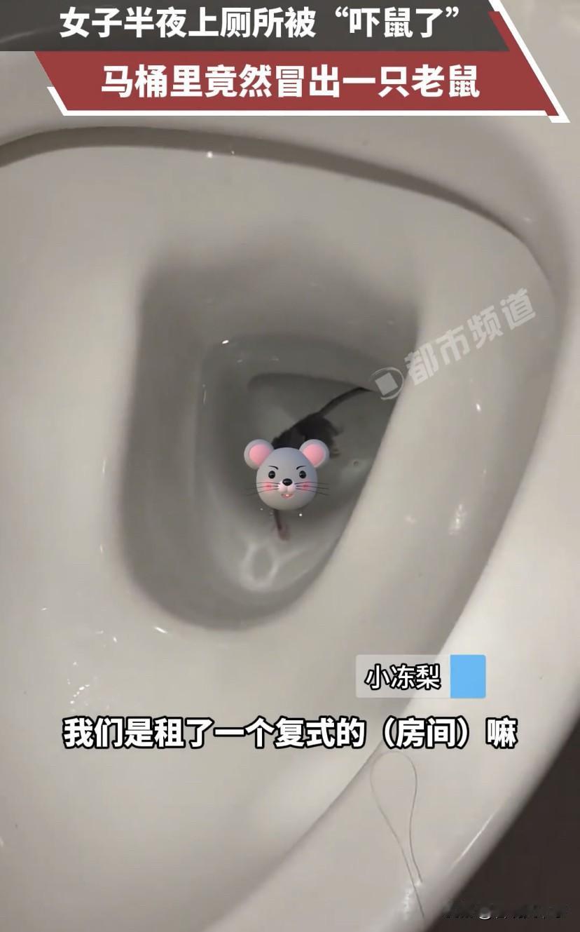 好离谱啊！浙江宁波，女子半夜去卫生间上厕所，可刚坐到马桶上，就听到马桶里似乎有声