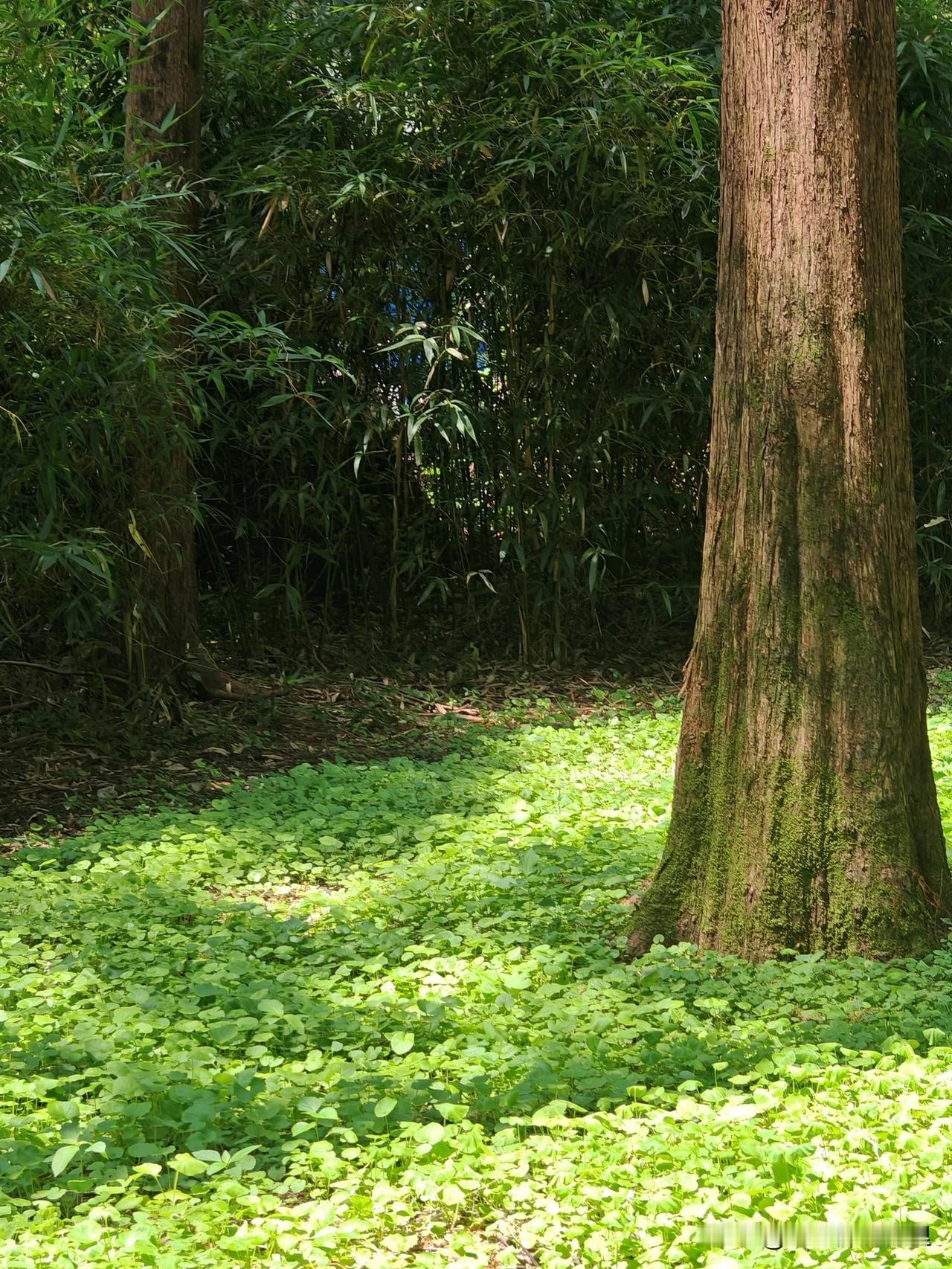 💢激活企业核心动力 ​‎͏ 
⭕人才精准匹配：通过高效人才测评，确保每位员工