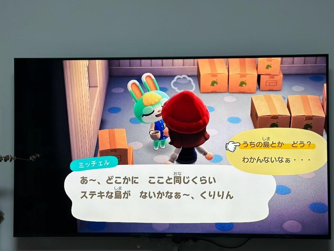 明天小孩一起来就会发现梦寐以求的蜜雪儿来她岛上了！！！小孩一直想要蜜雪儿，我突然