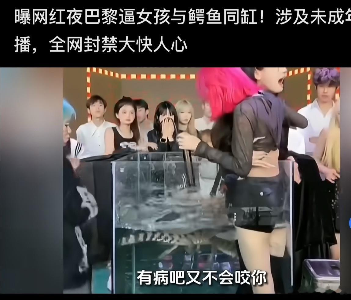 强迫主播进入鳄鱼缸MCN已关门到底是什么群体在关注这类直播，看直播数据还很庞大。