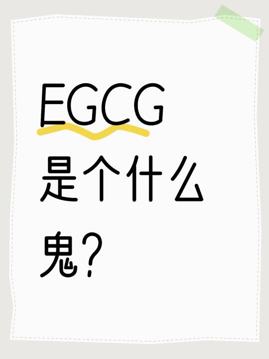 EGCG是个什么鬼？