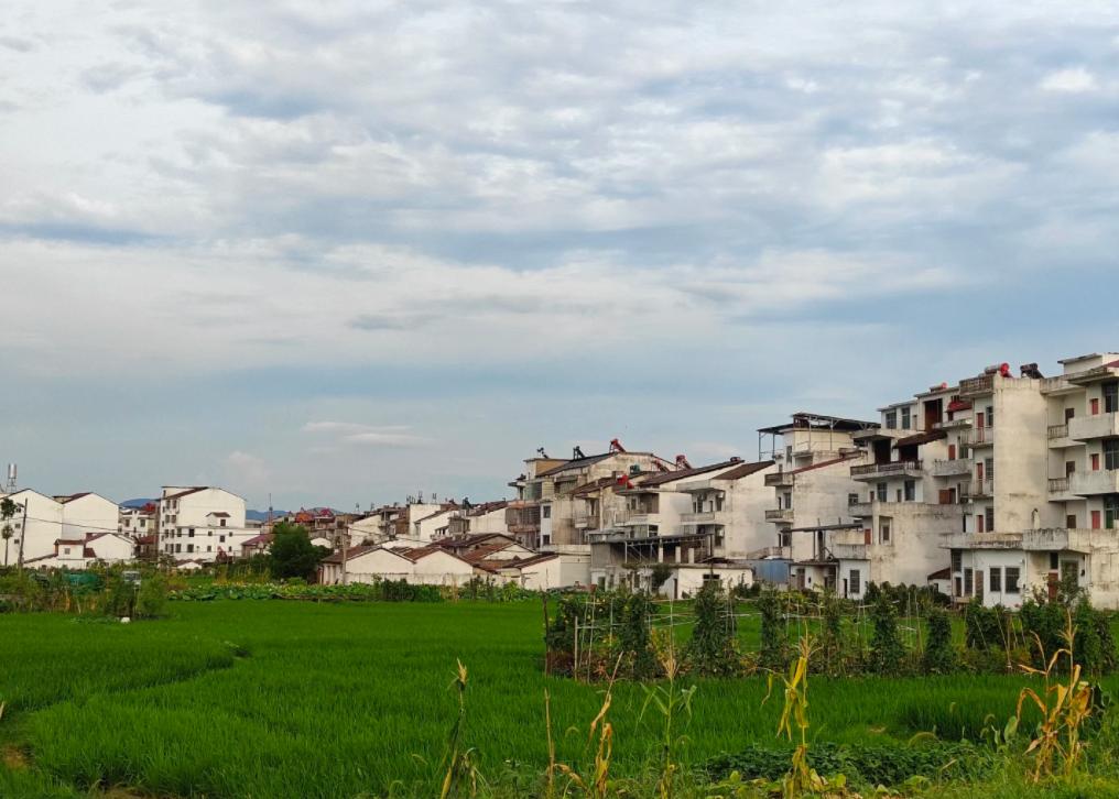 以黎强硬互怼，中东局势再临十字路口
亲爱的朋友们大家好，我是海林小百科，今天我们