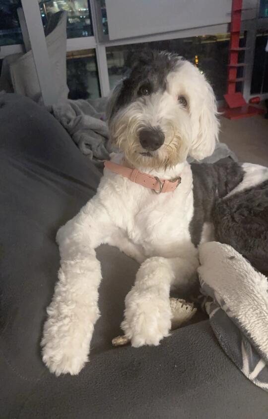 跳槽之后发现…