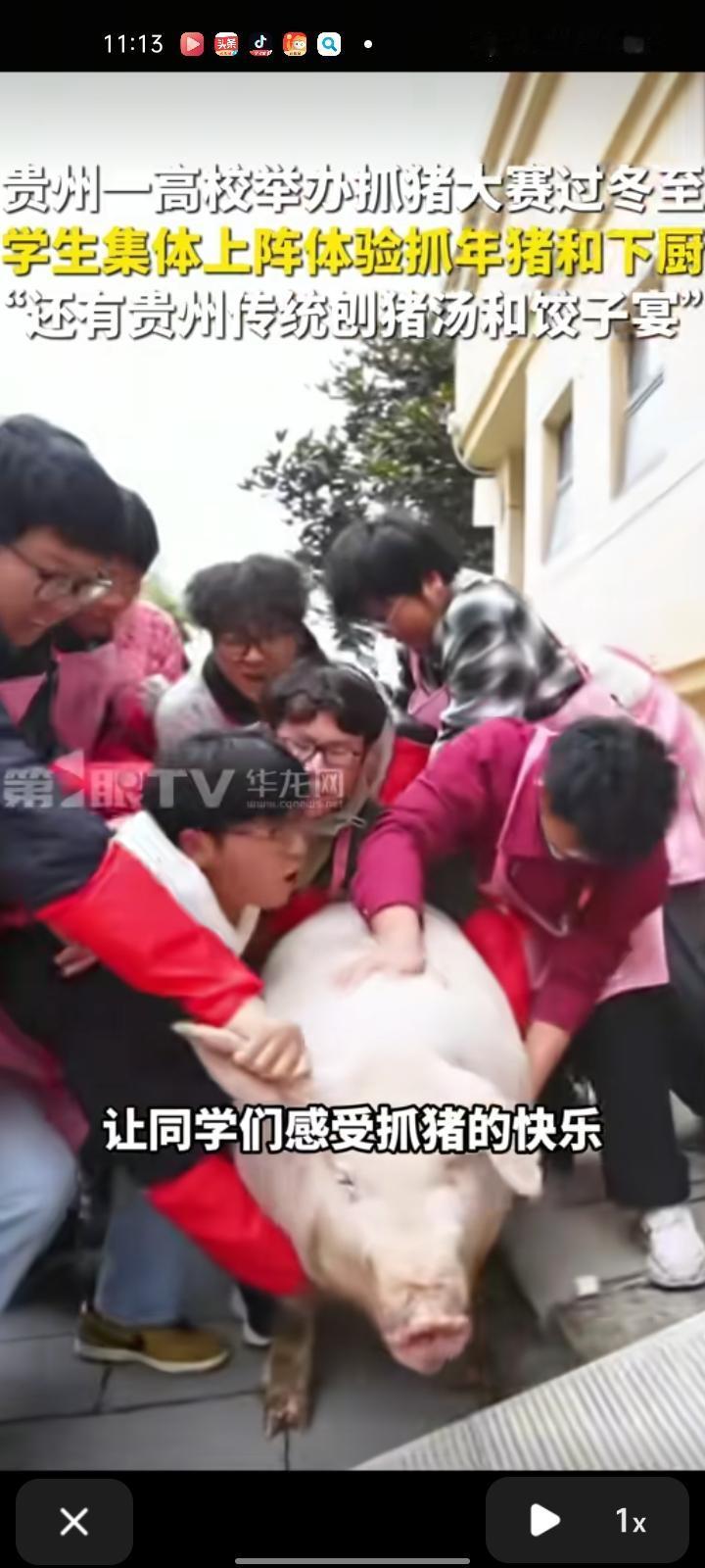 12月20日，贵阳清镇市。贵州工商职业学院举办抓猪大赛过冬至，学生们集体上阵体验