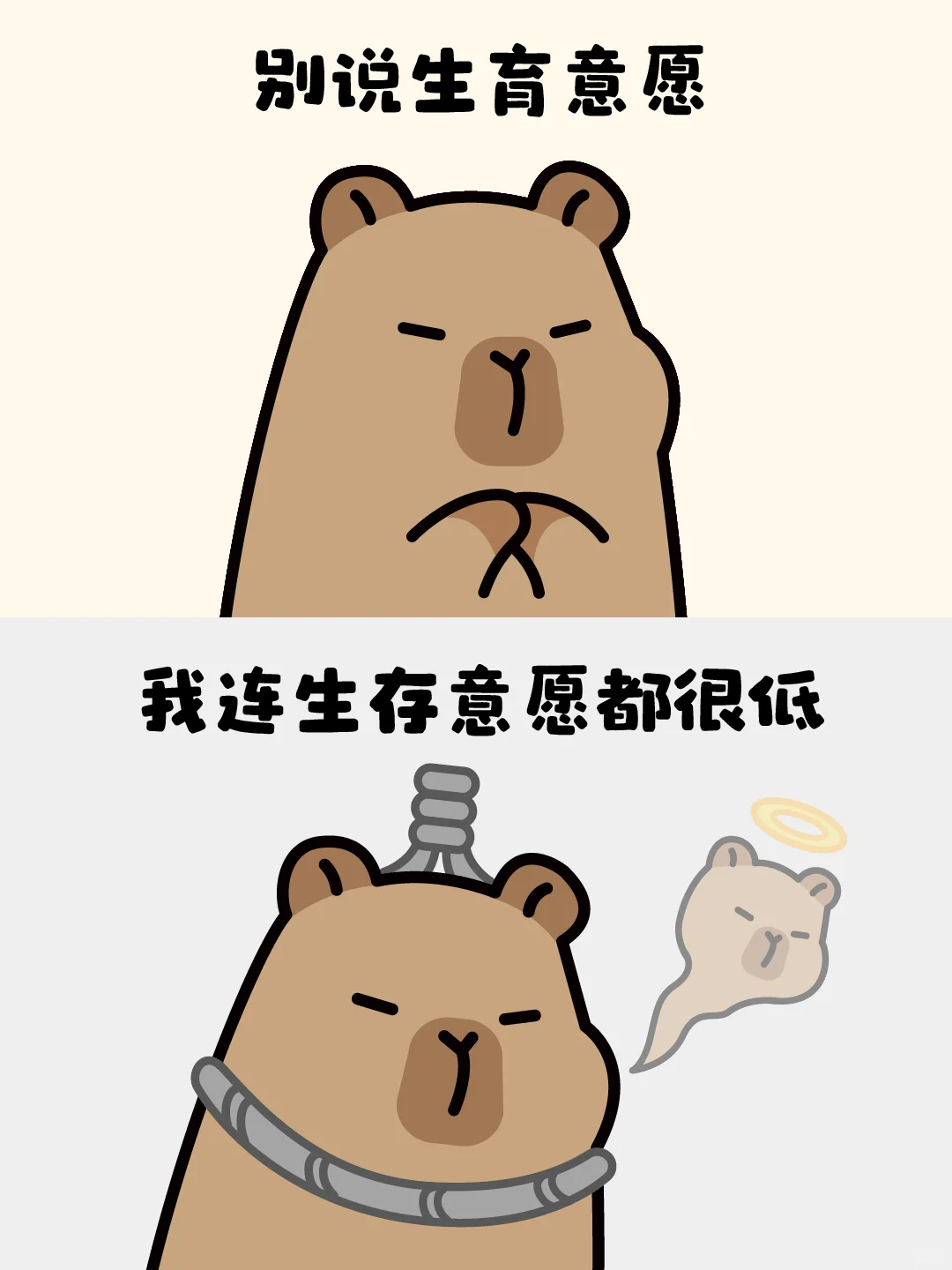 当代打工人的婚姻观-卡皮巴拉✨