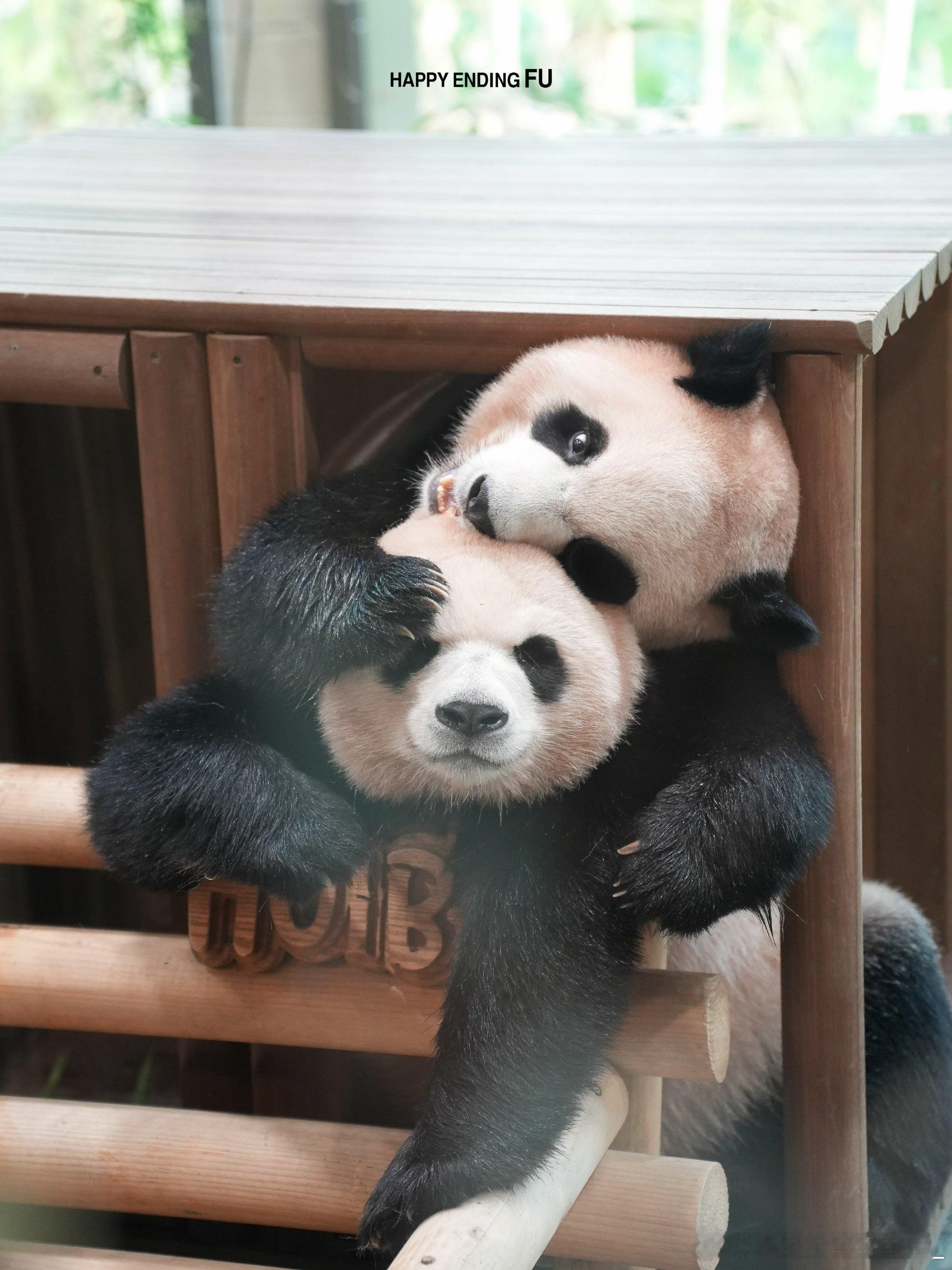 每天早起打卡早安～ 