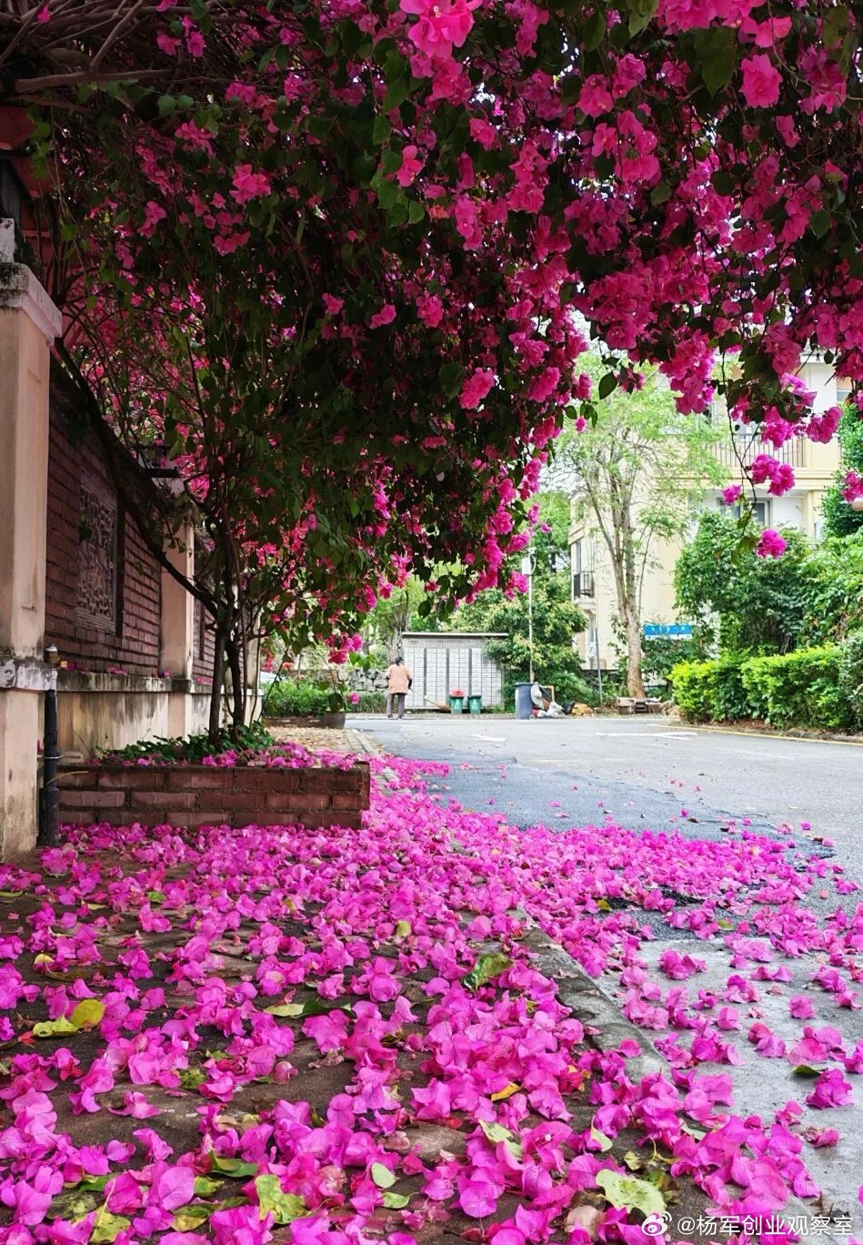 企业控制权的丧失，往往始于股权架构与治理设计的缺失。面对潜在的股权战争：创始人如