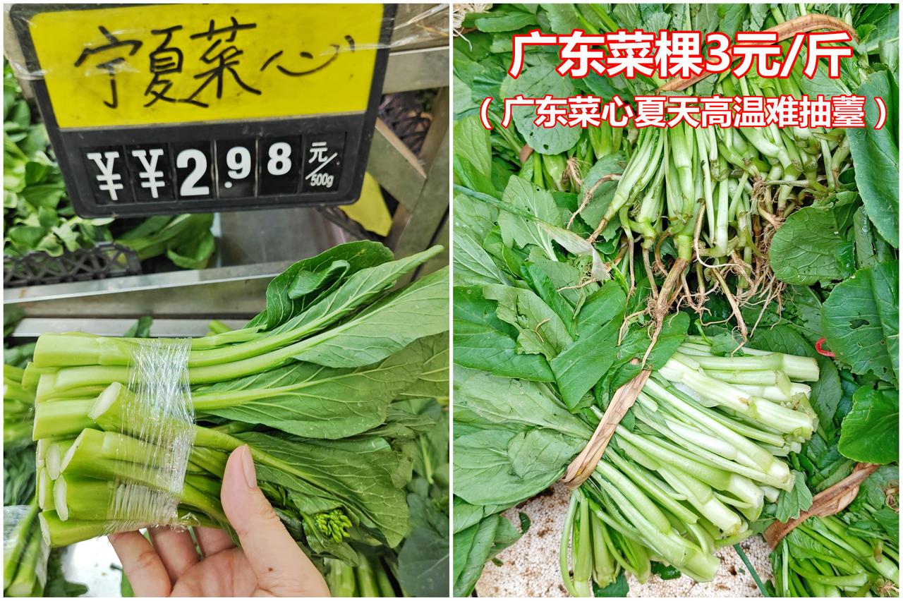 宁夏菜心和广东菜棵，你选哪个，我肯定宁夏！



菜心 宁夏菜心 市场博物 蔬菜