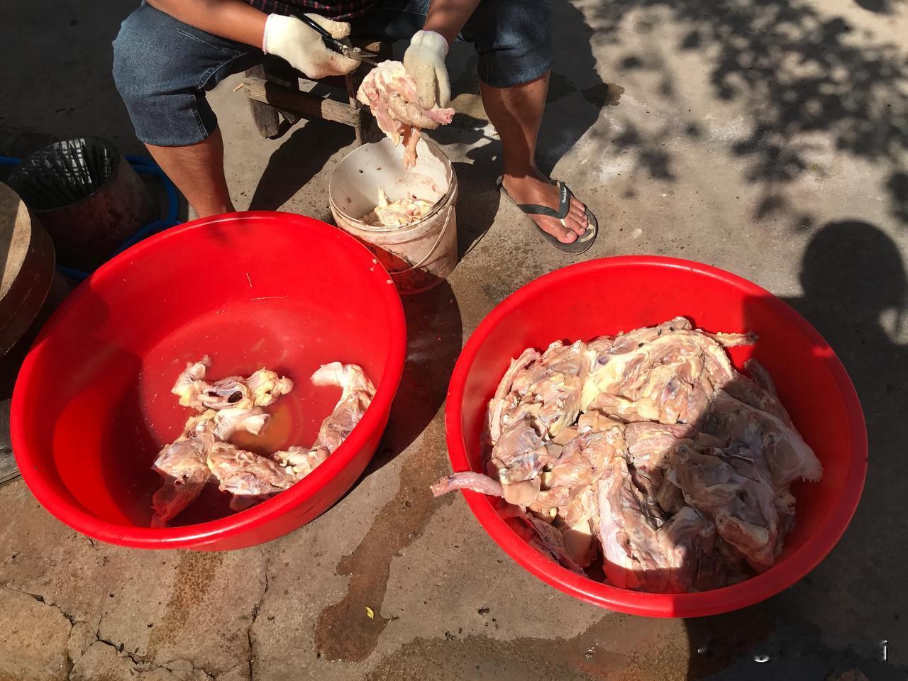 节假日真是赚钱的好机会，国庆加上秋收，一天能卖四五十个鸡排20多条鱼[呲牙][呲