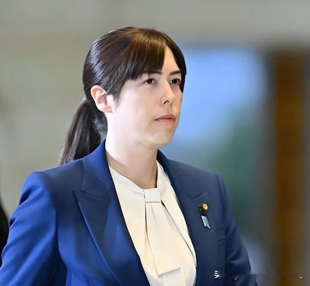 日本想搞“稀土突围”？看一眼工业地图就知道是痴人说梦。去中亚挖矿、去东南亚找替代