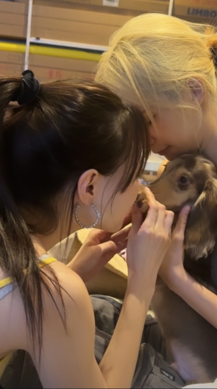 妈妈咪已经在吸小狗啦🐕 