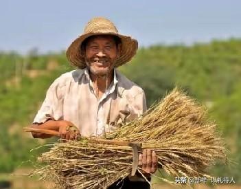 农民辛苦一生究竟为了什么? 
为了让子孙后代过上好日子，为了让自己老有所依，老有