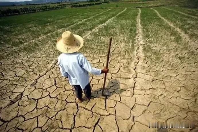 现在国家对耕地进行特殊保护，不让随便在耕地上造林种树，这种初衷是可以理解的，就是