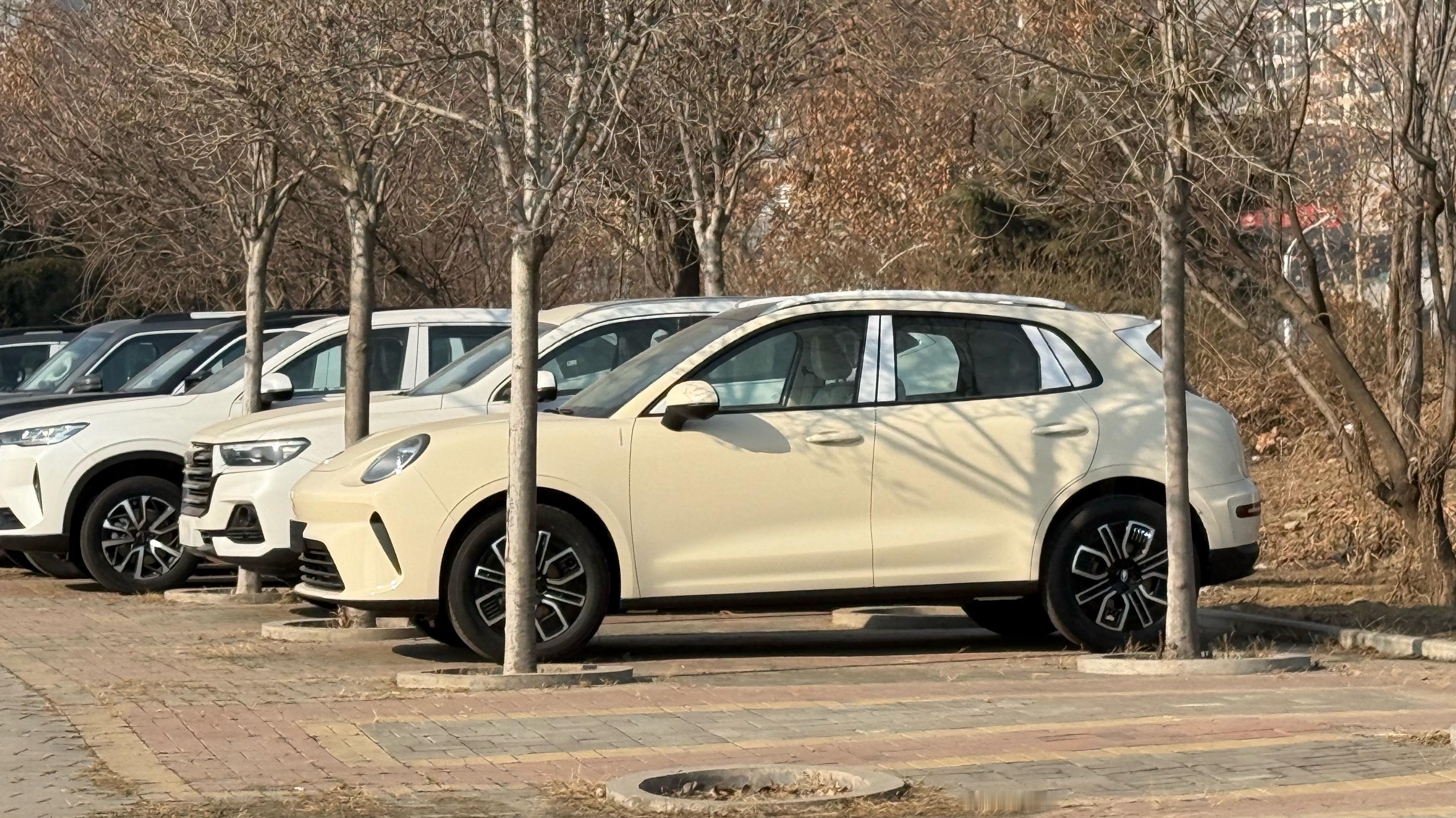 这么好看的欧拉5，也不知道是谁的10天了还没生产呢汽车杂谈我与汽车的日常