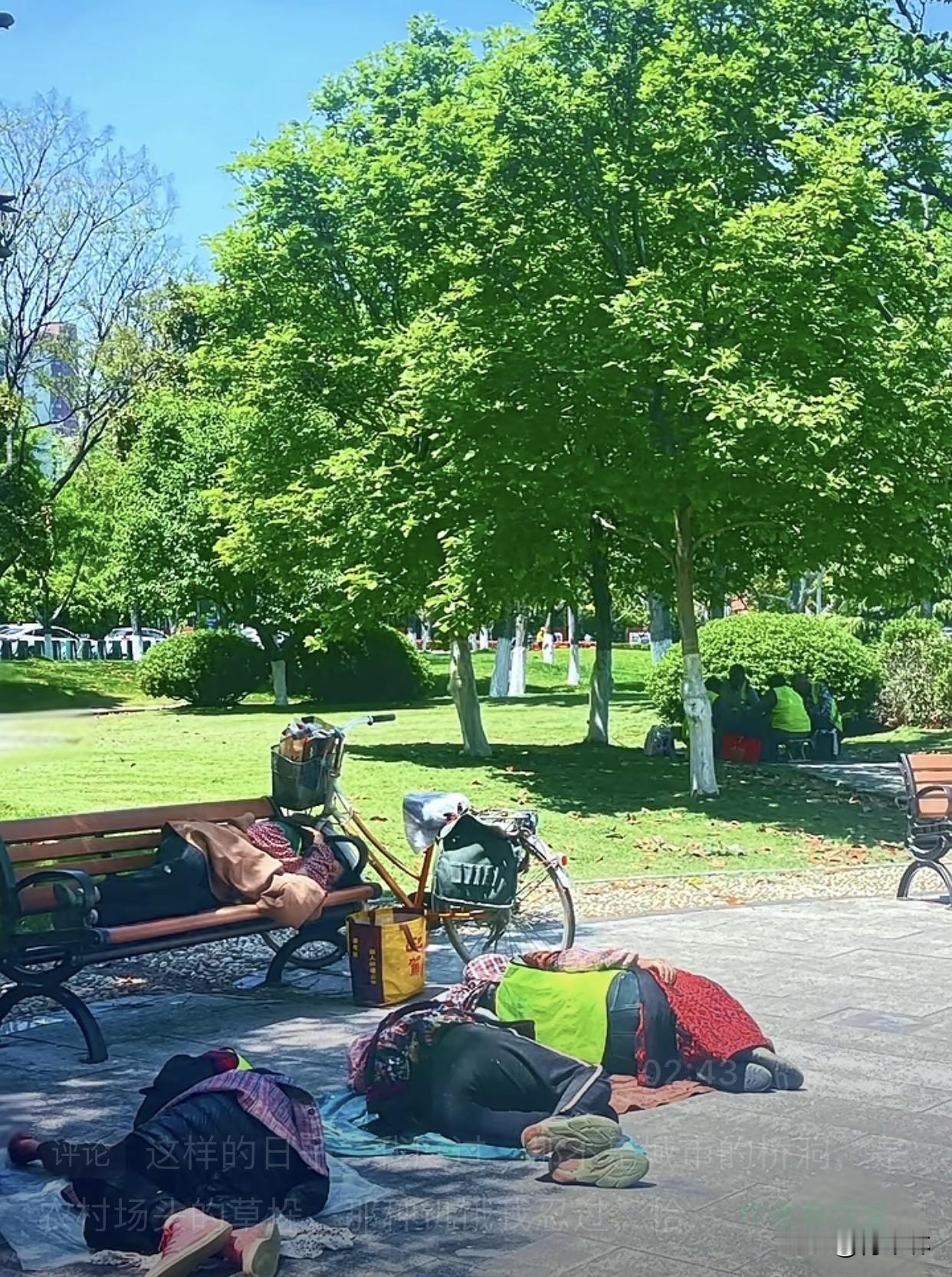 公园偶遇劳动者，平凡亦有烟火清欢

今天午饭后，我在单位附近小公园散步，偶然看到