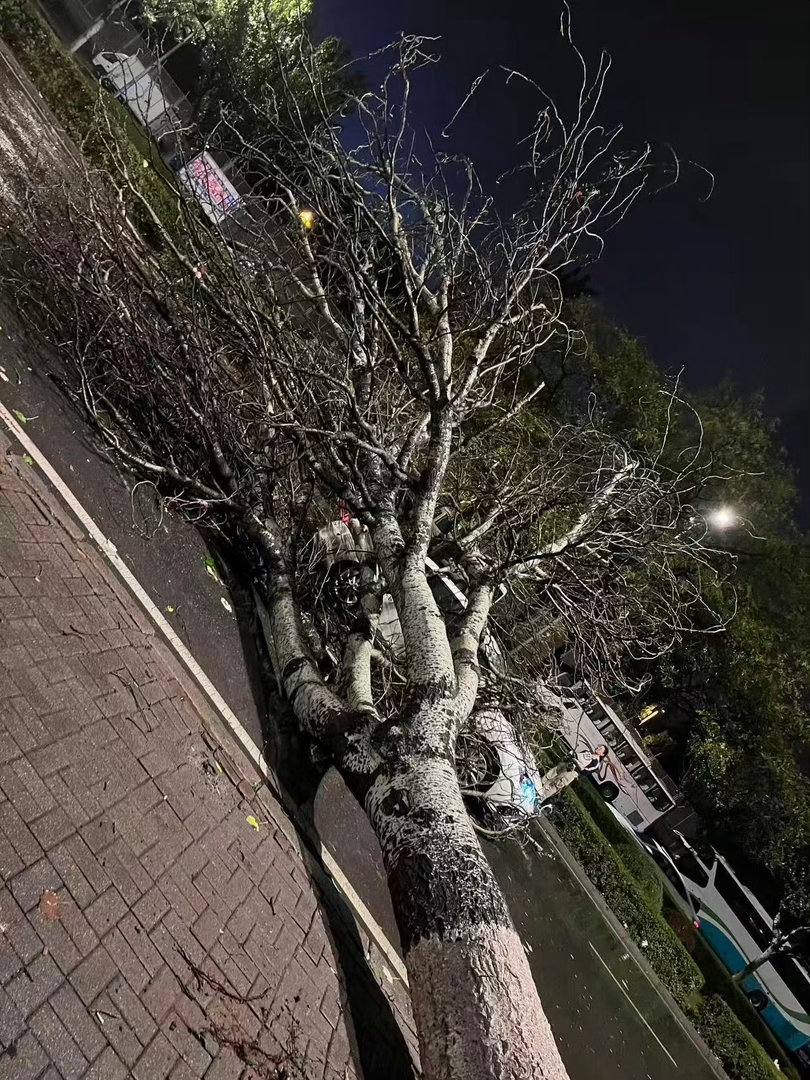 网友夸赞东风日产质量真的看惊了！刷到这几起事故现场图，简直硬得离谱！高速狠狠怼护