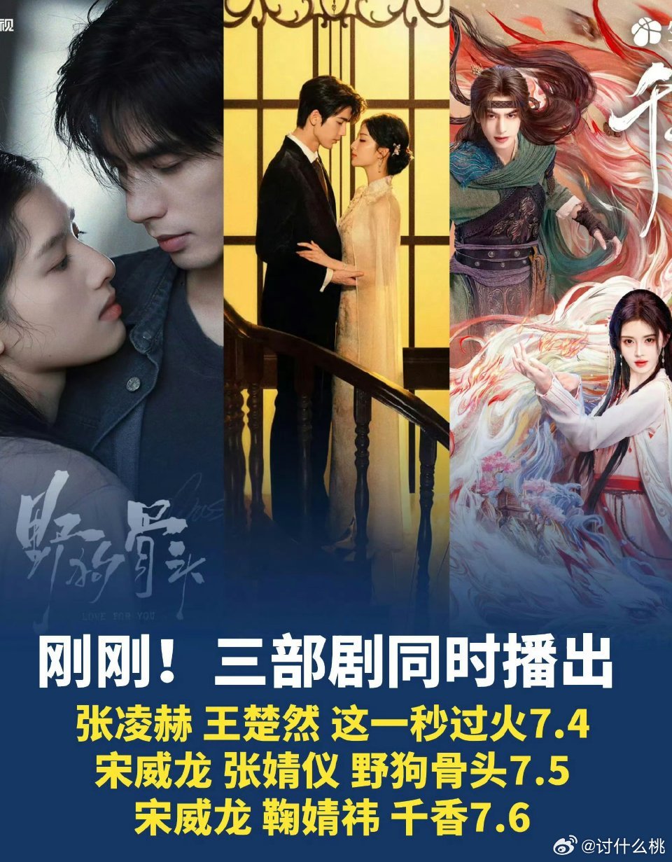 一上午不在线，发现《这一秒过火》《野狗骨头》《千香》这三部剧都抬上来了三部题材都