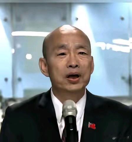 扶不起来的阿斗，在台岛伪立院表决弹劾台独头目赖某议案的关键时刻，身为国民党籍韩国