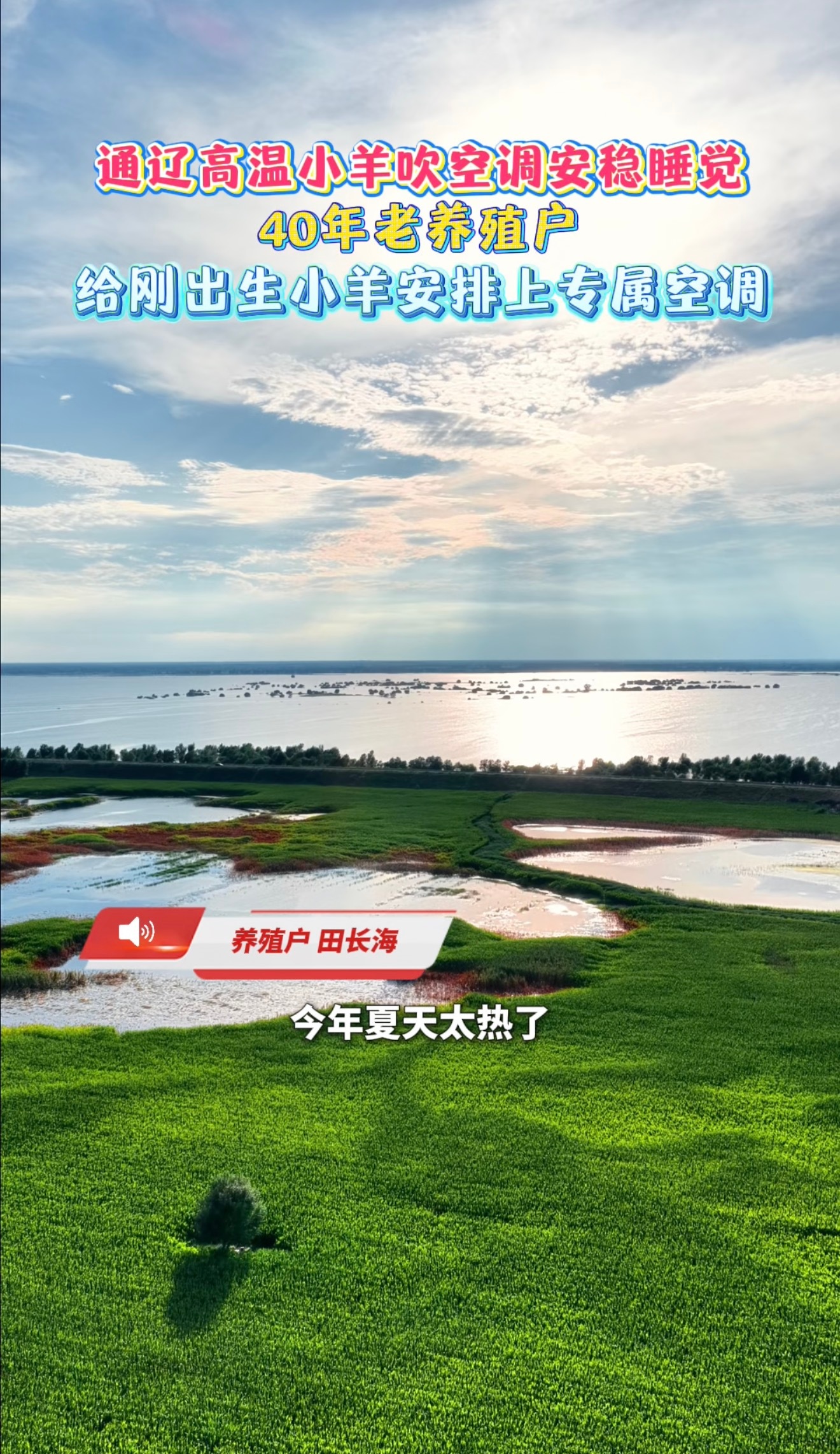 内蒙古高温天的暖心一幕！养殖户老田为了给小羊降温，在京东下单空调隔天就装好，京东