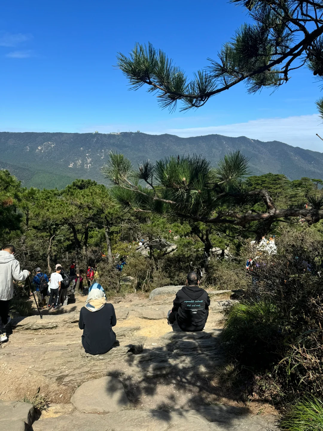 庐山游玩一定要看庐山松🌲含鄱口五老峰观景