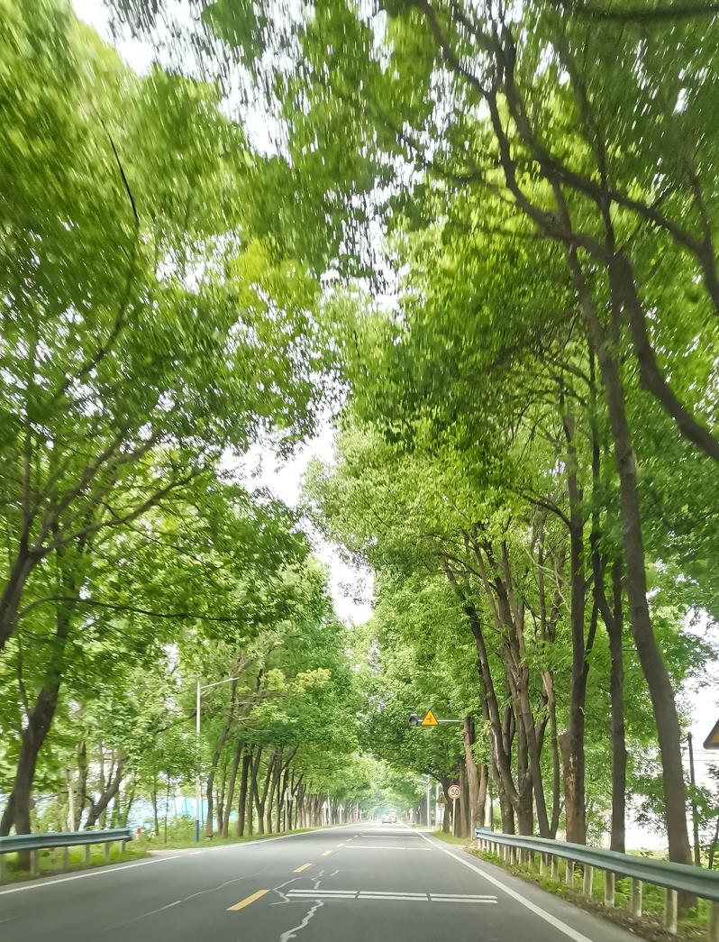 我认为不支持。
身为70年代的女性，思想还是挺保守的。对于现在的年轻人，婚前同居