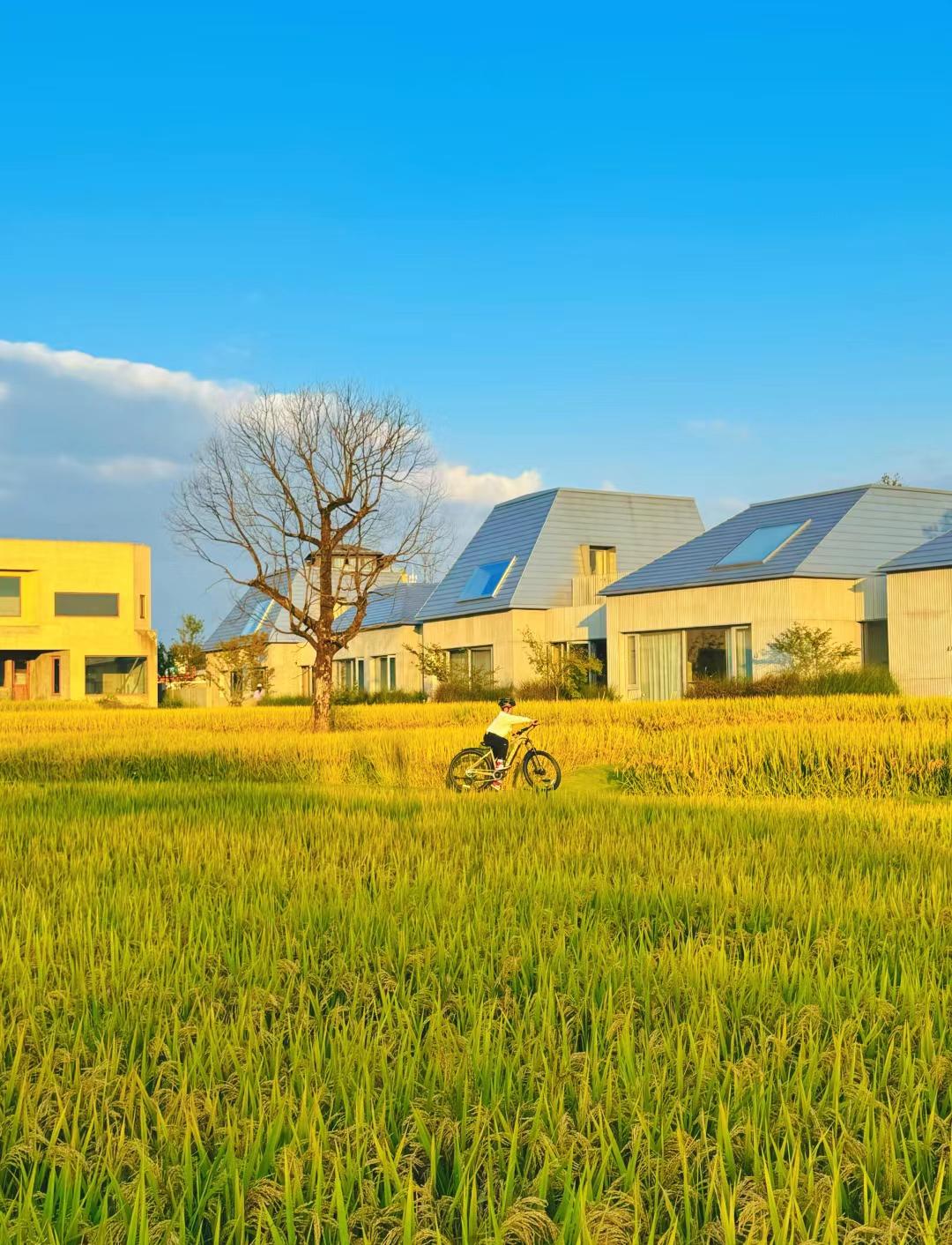 别人拥有的，你不必羡慕，只要努力，你也许也会拥有。
#努力才能做自己# #努力学