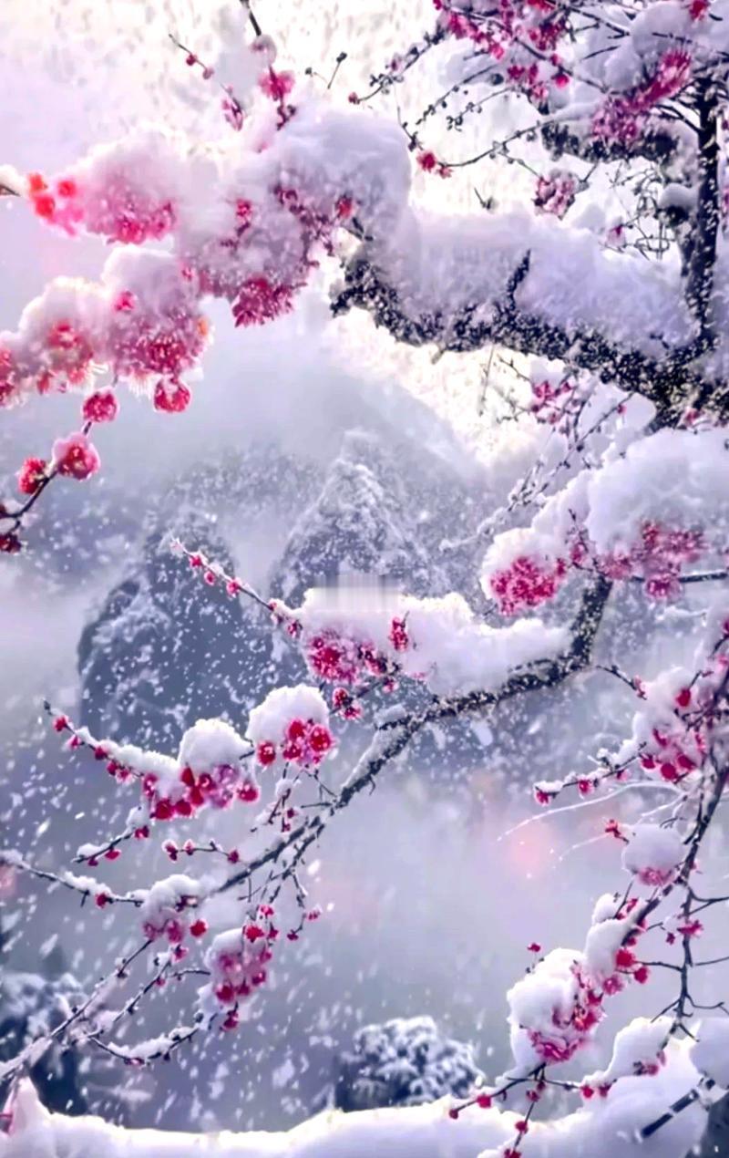 上联：寒天独宠梅花雪，
下联：冷月单思枫露霜，
下联：春风漫卷柳烟霞。