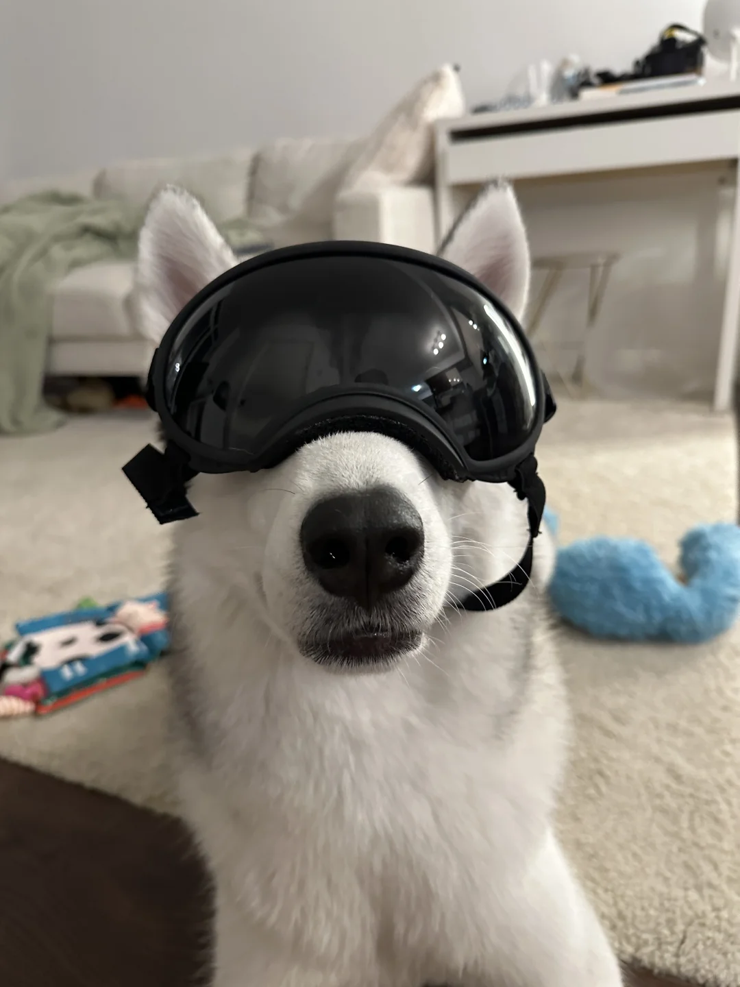 太帅了吧😎