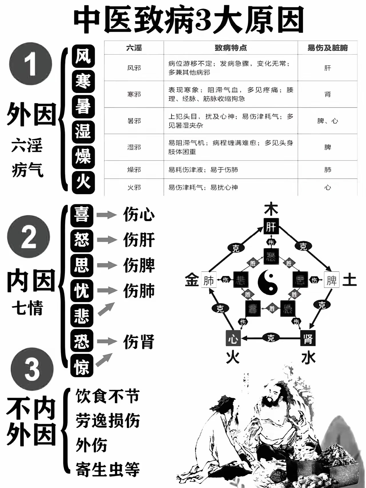 中医致病的3大原因深度解析今天我们将一同探讨中医理论中致病的三大原因，以及它们各