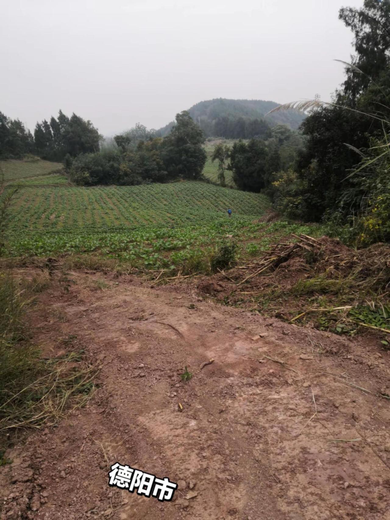 当地山顶上我的农村生活 记录我的生活 大山里的生活