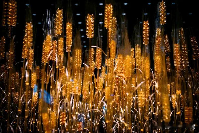 这男子偷百万黄金藏祖坟，真是又荒唐又愚蠢。为还赌债去偷金店，凿墙洗劫价值170多