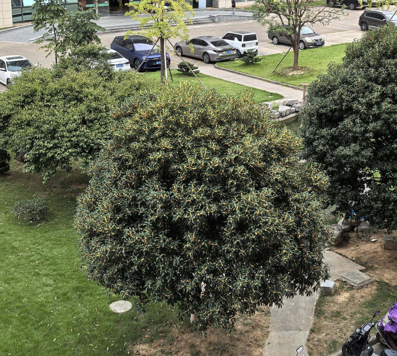 和闺蜜聚会聊天，津津有味的听她讲她哥哥照顾母亲的事。
      闺蜜兄妹三人都