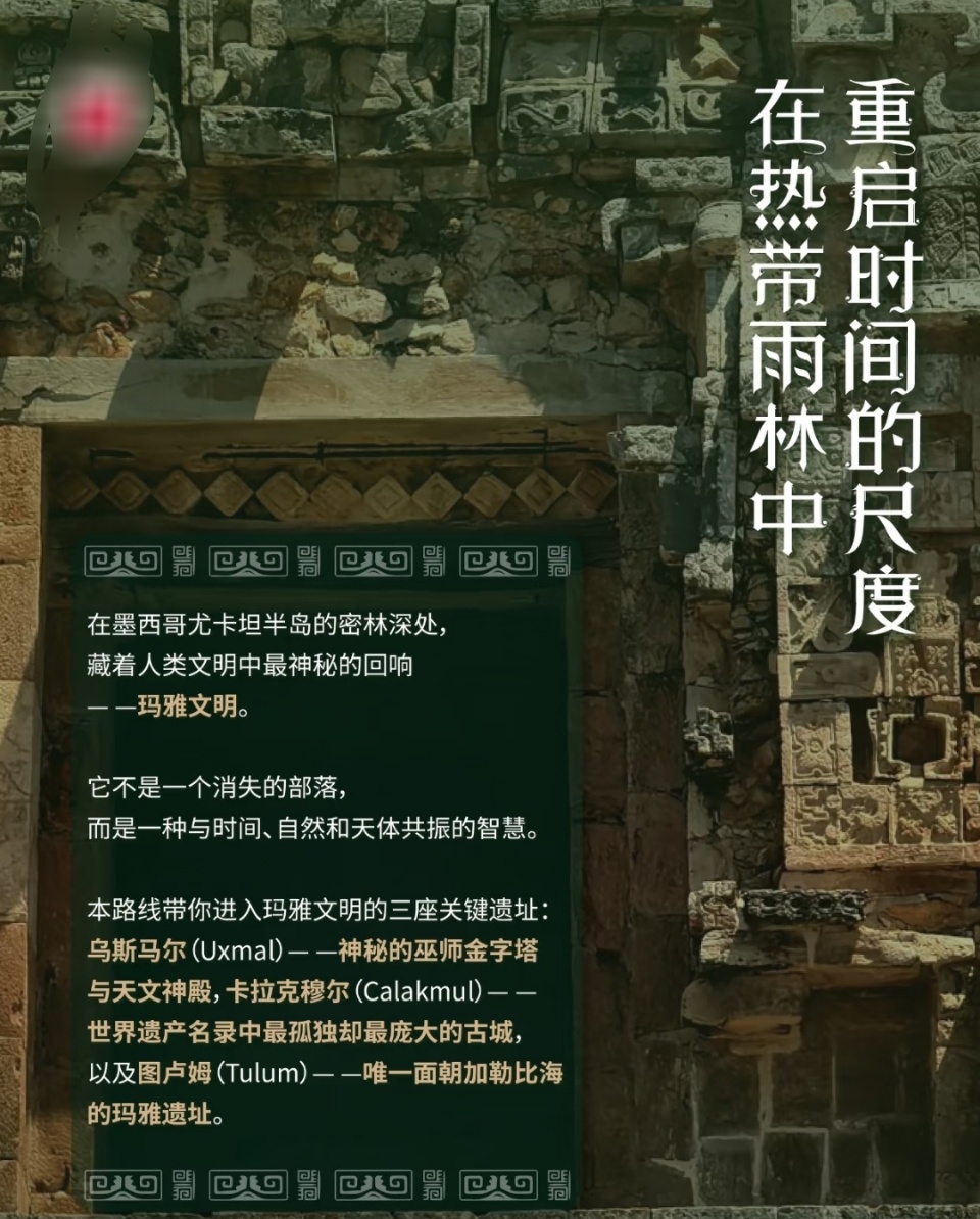 说实话，我极希望花少8是真，撇开我为的旅行收获先不谈，因为参加后将会在国民度这块