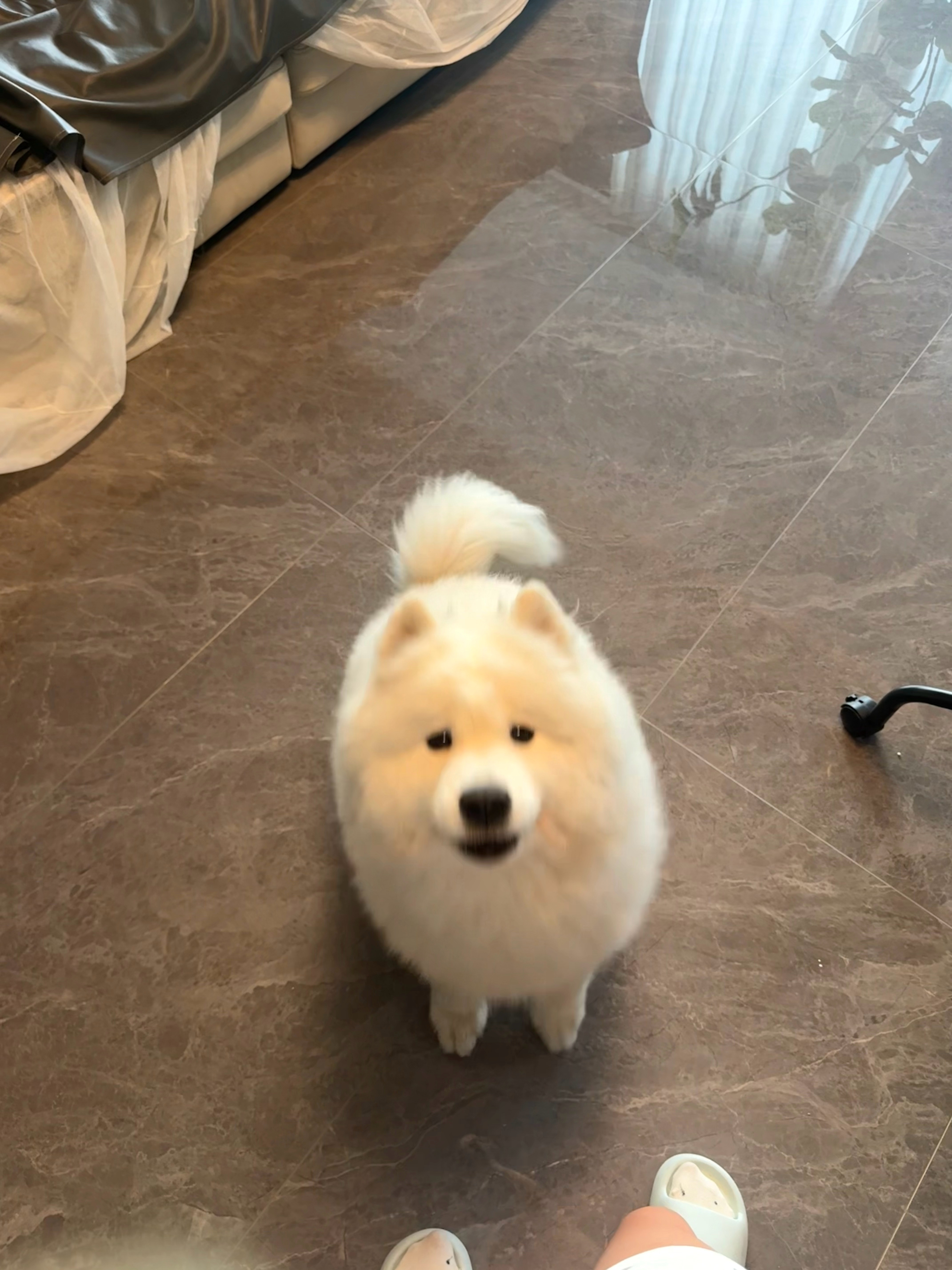 想吃桃子的话自己去买