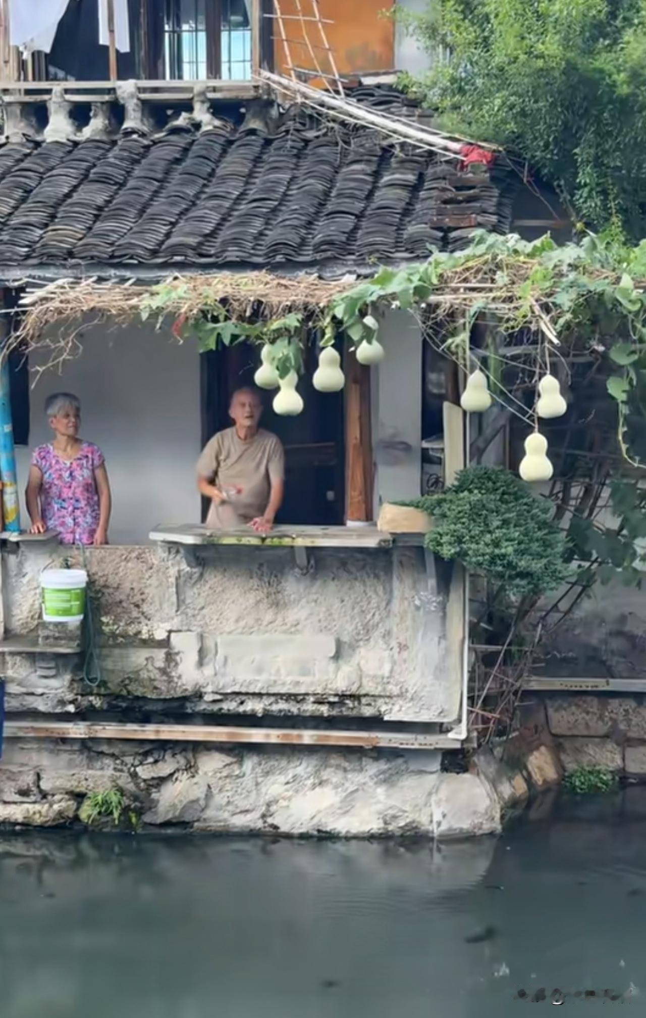 笑不活了！绍兴书圣故里的七个葫芦爆火之后，爷爷的形象安排上了，奶奶的形象也安排上