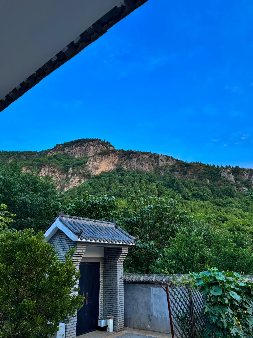 我在过一种很养人的古人生活（夏日美人篇）