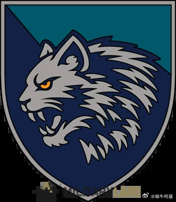 再插播一条俄乌，由于前线没人了，乌克兰将3个海防旅转成海军陆战旅，徽章已经开始改