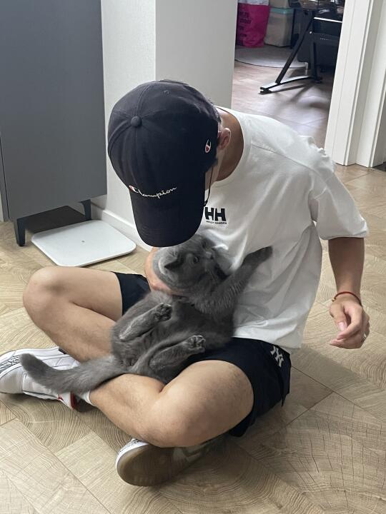 今天去朋友家玩小猫！