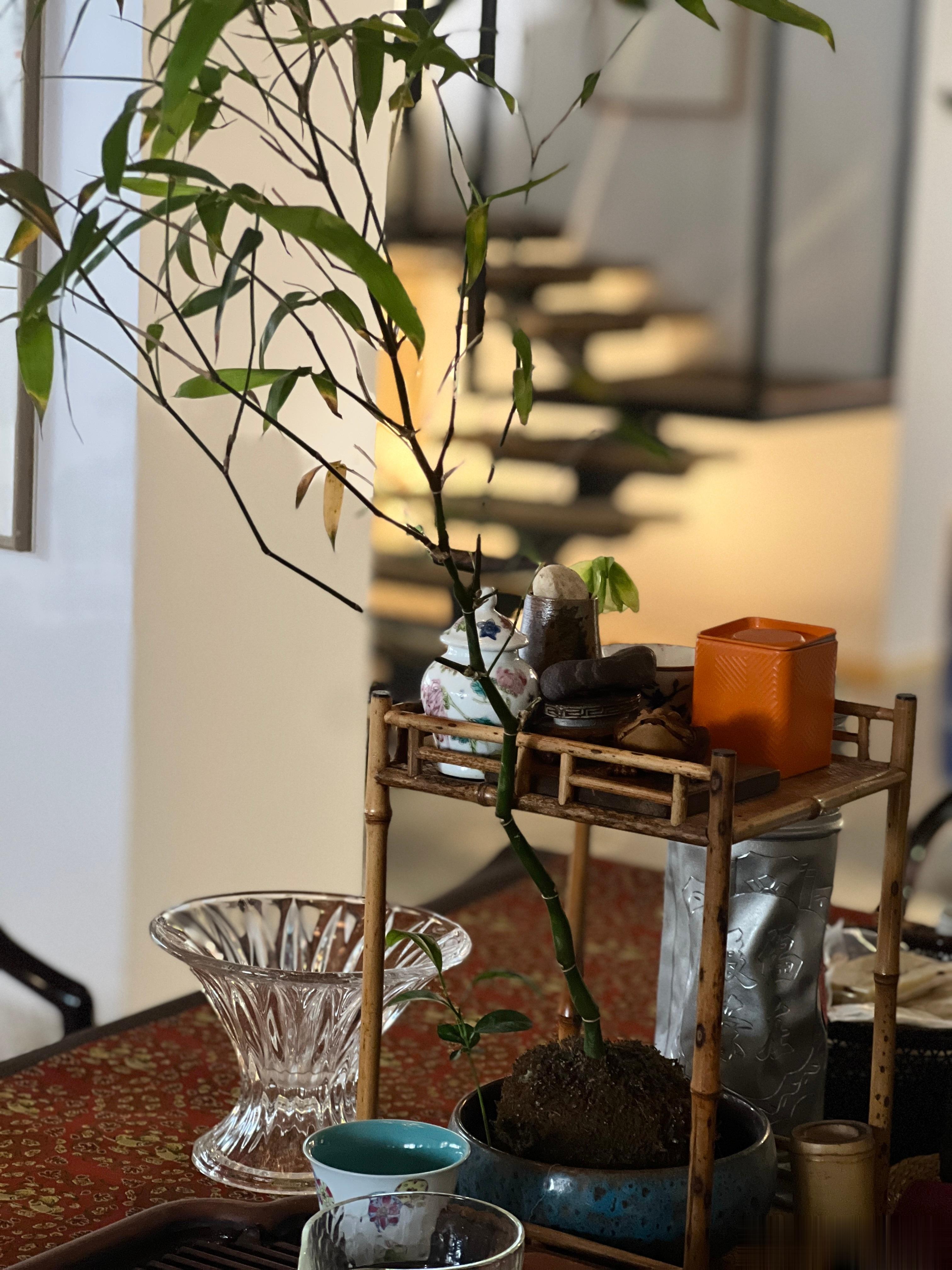 “好的心情，好的心态，永远是最好的风水”  茶#  ​​​