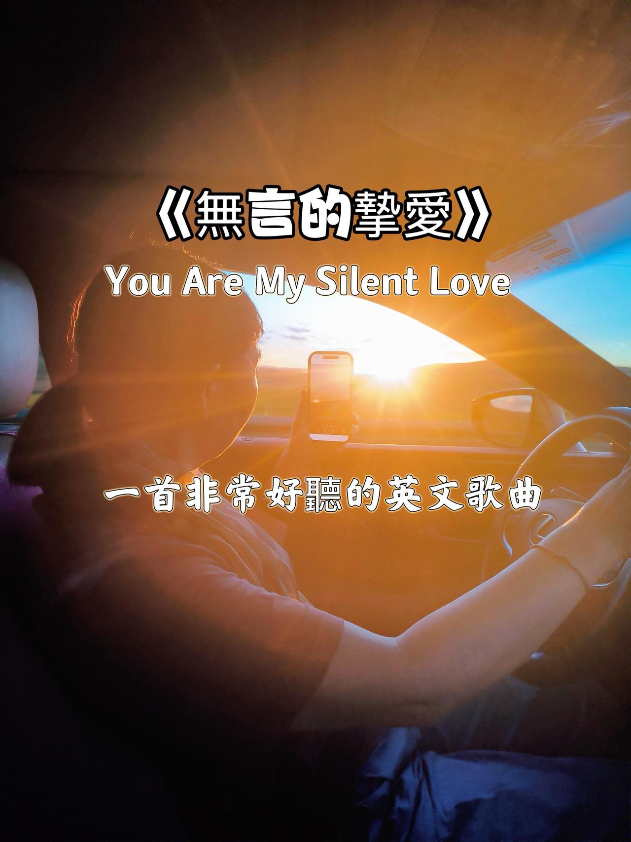 不必听懂歌词深意，单是旋律就足够治愈人心，一路静静聆听，格外享受。
治愈系音乐 