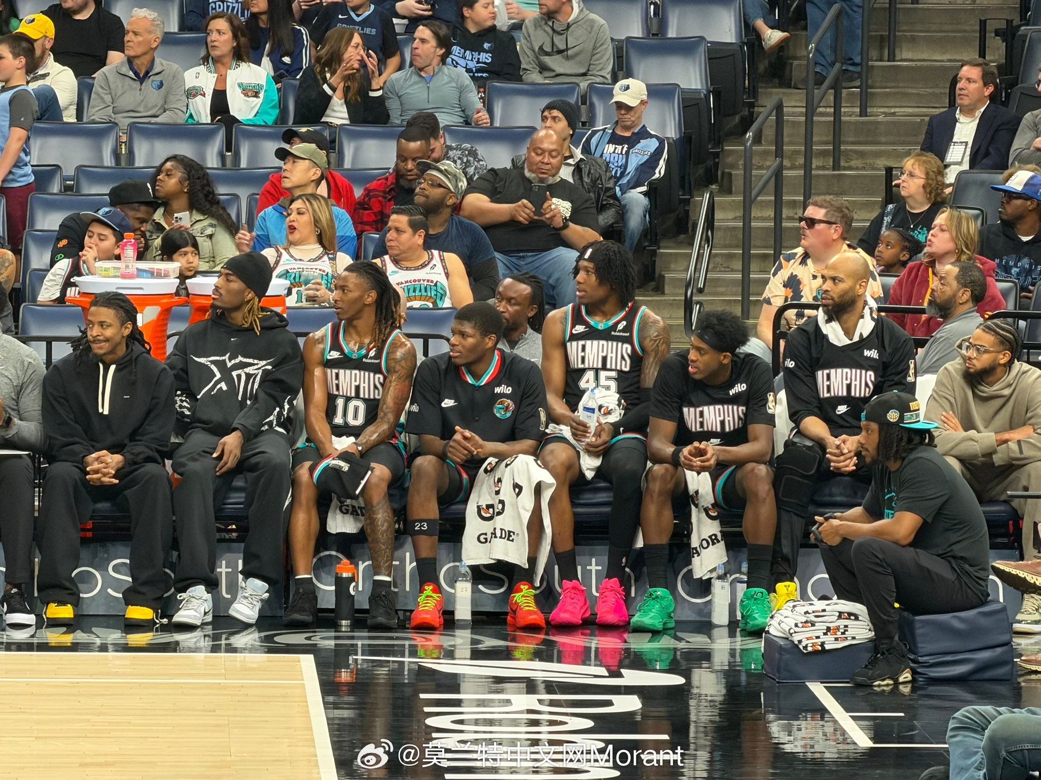 今日份莫兰特 ！ 莫兰特