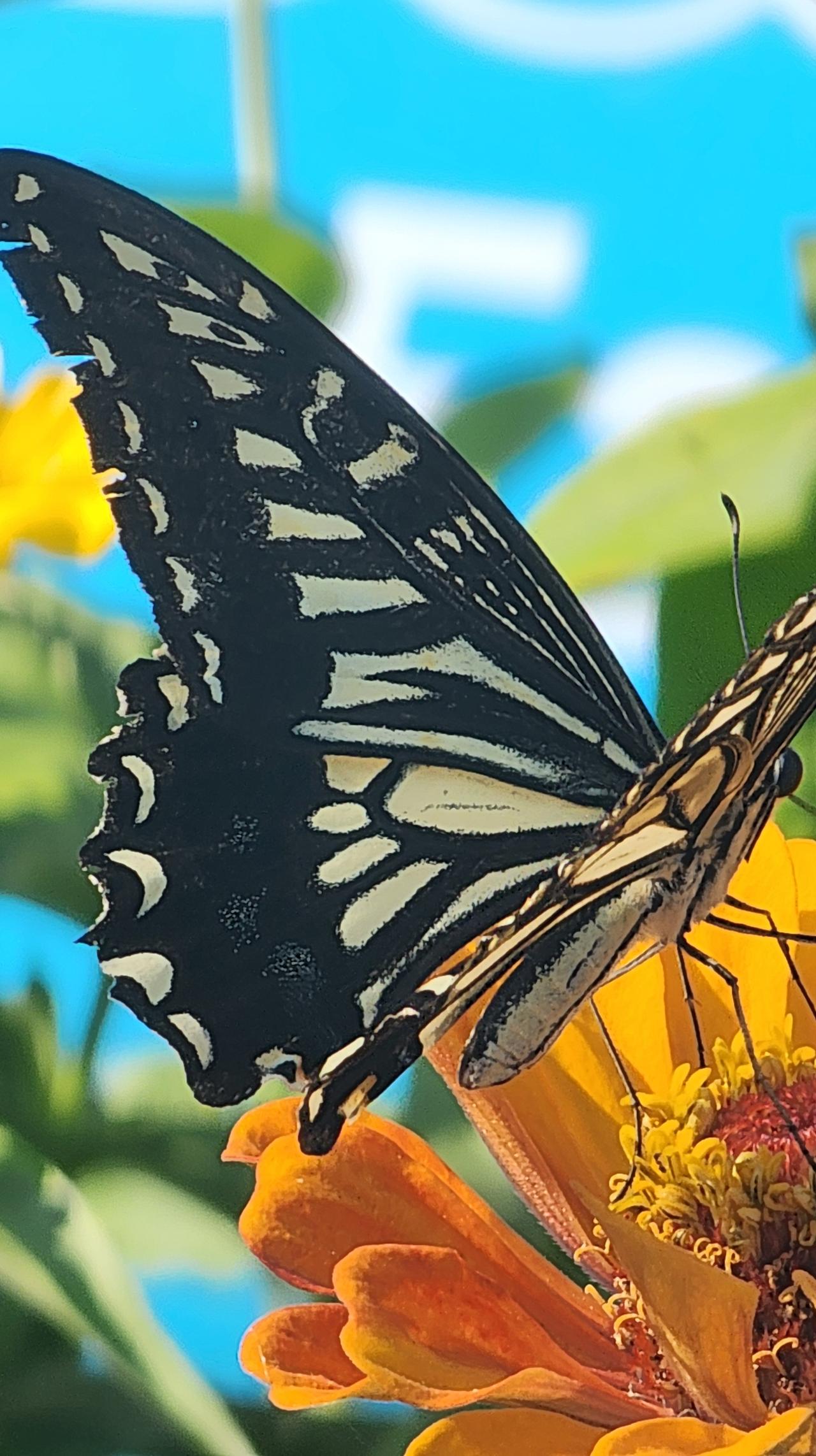 能分享一下你相册里的风景照片吗随手拍照，留下美好，风光旖旎，美景养眼。