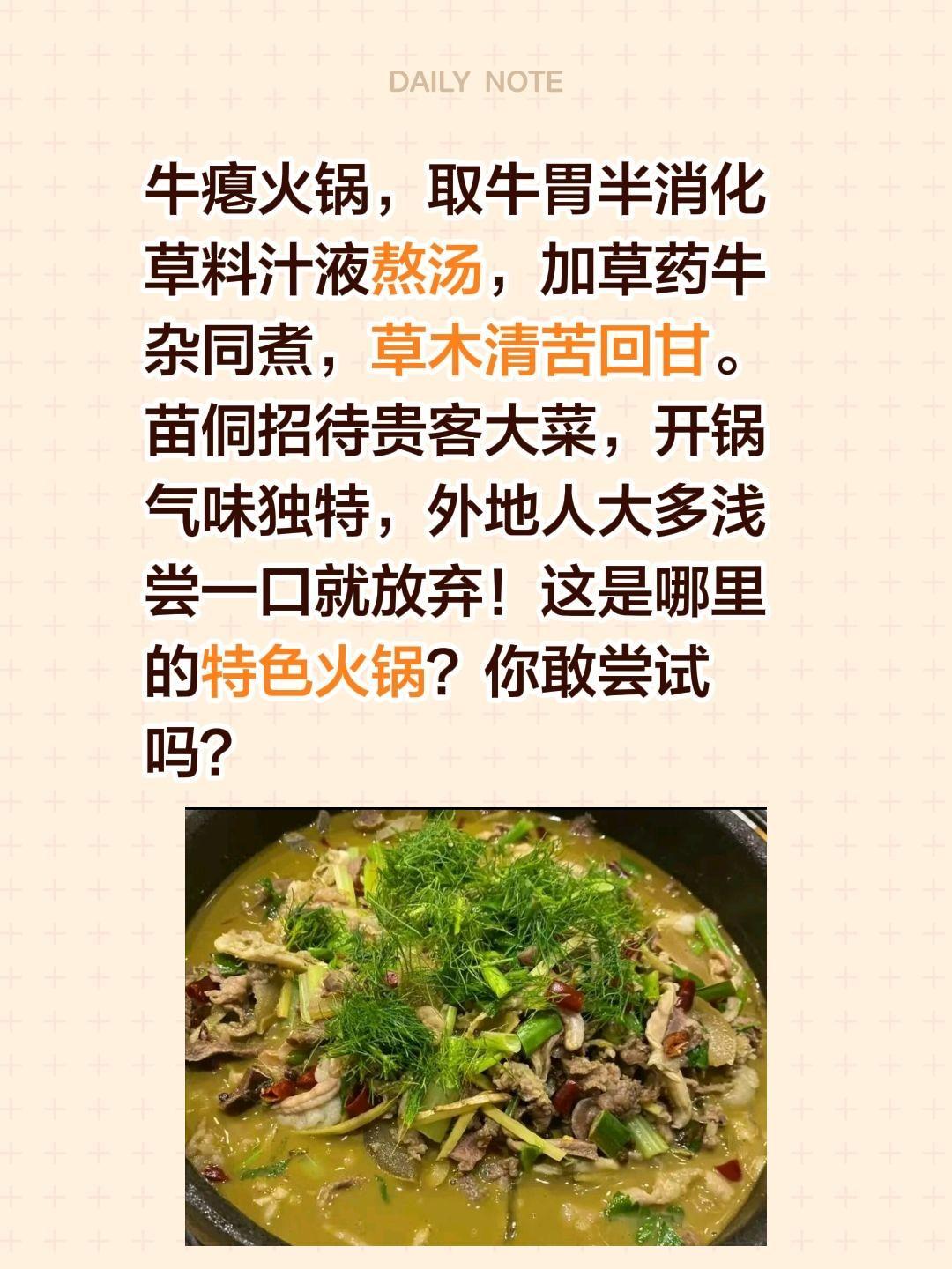 牛瘪火锅，你敢尝试？牛瘪火锅，取牛胃半消化草料汁液熬汤，加草药牛杂同煮，草木清苦