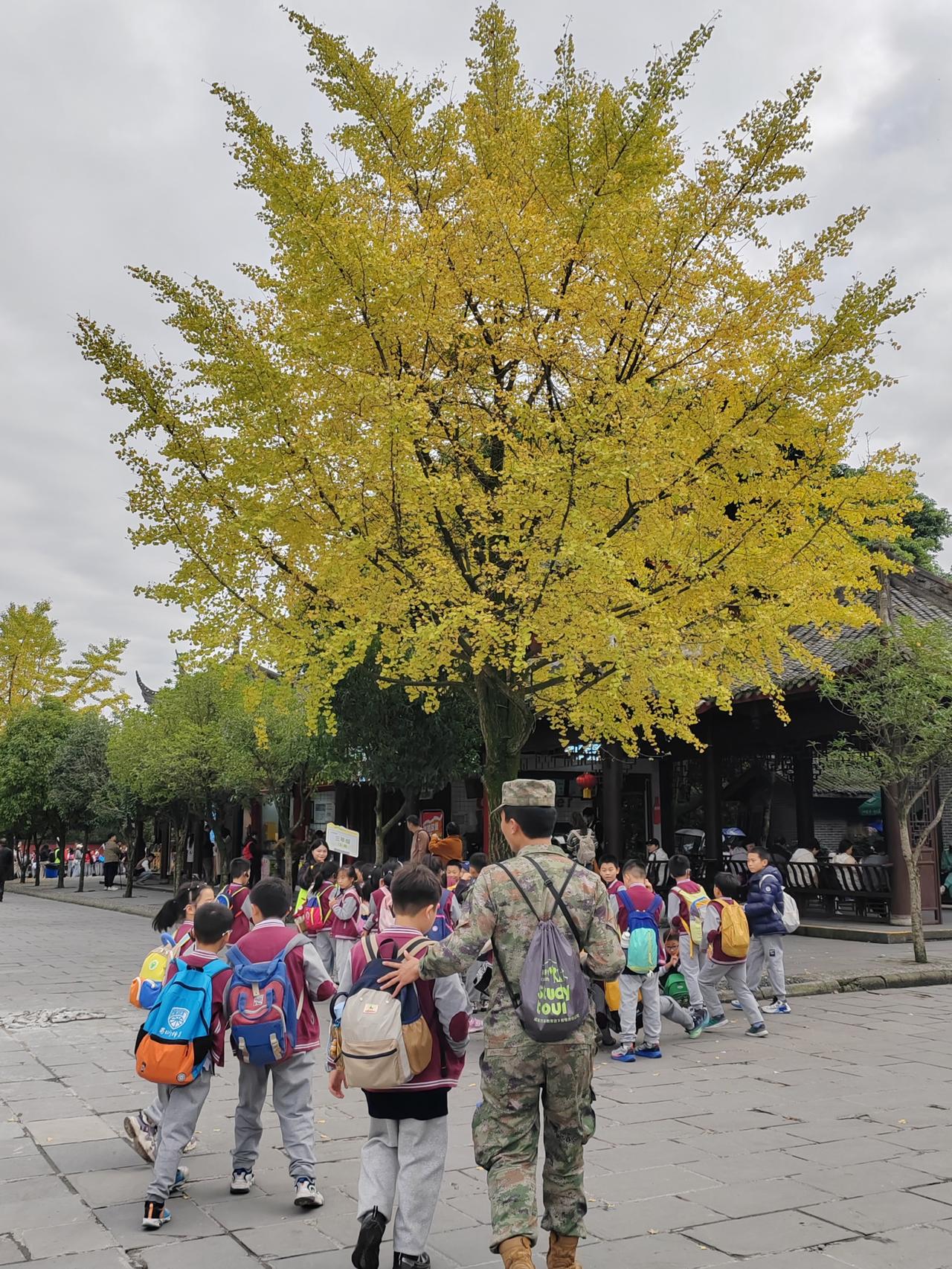 秋日游学，童趣盎然，老师带领小朋友们探索历史悠久的古镇。