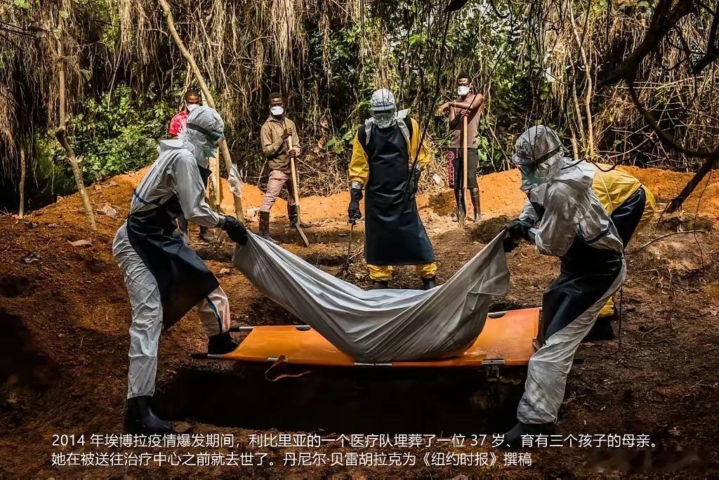 美国连夜封关、送药！这次埃博拉最让人不安的，不是病毒本身。埃博拉爆发，昨天美国撤