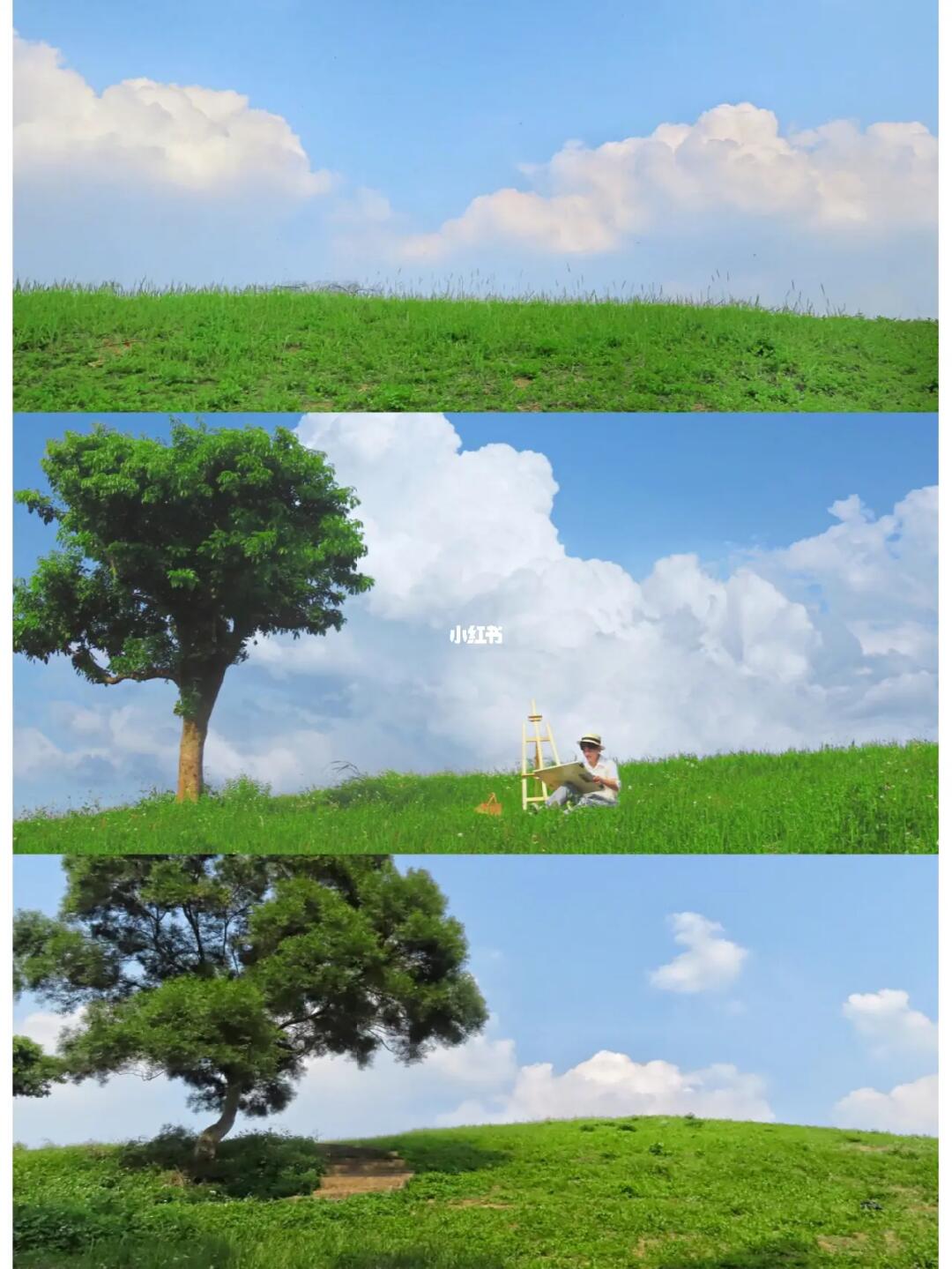 救命啊📛东莞漫画届的天花板｜不是照骗